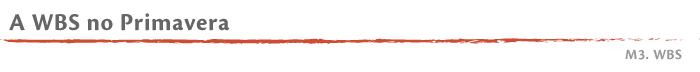 A WBS no Primavera